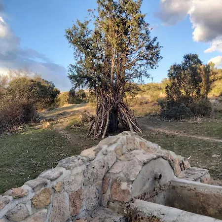 Acero Y Piedra Apartamentos Con Jardin Privado Cerceda  Esterno foto