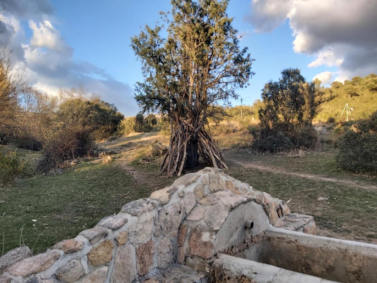 Acero Y Piedra Con Jardín Privado Apartamento *