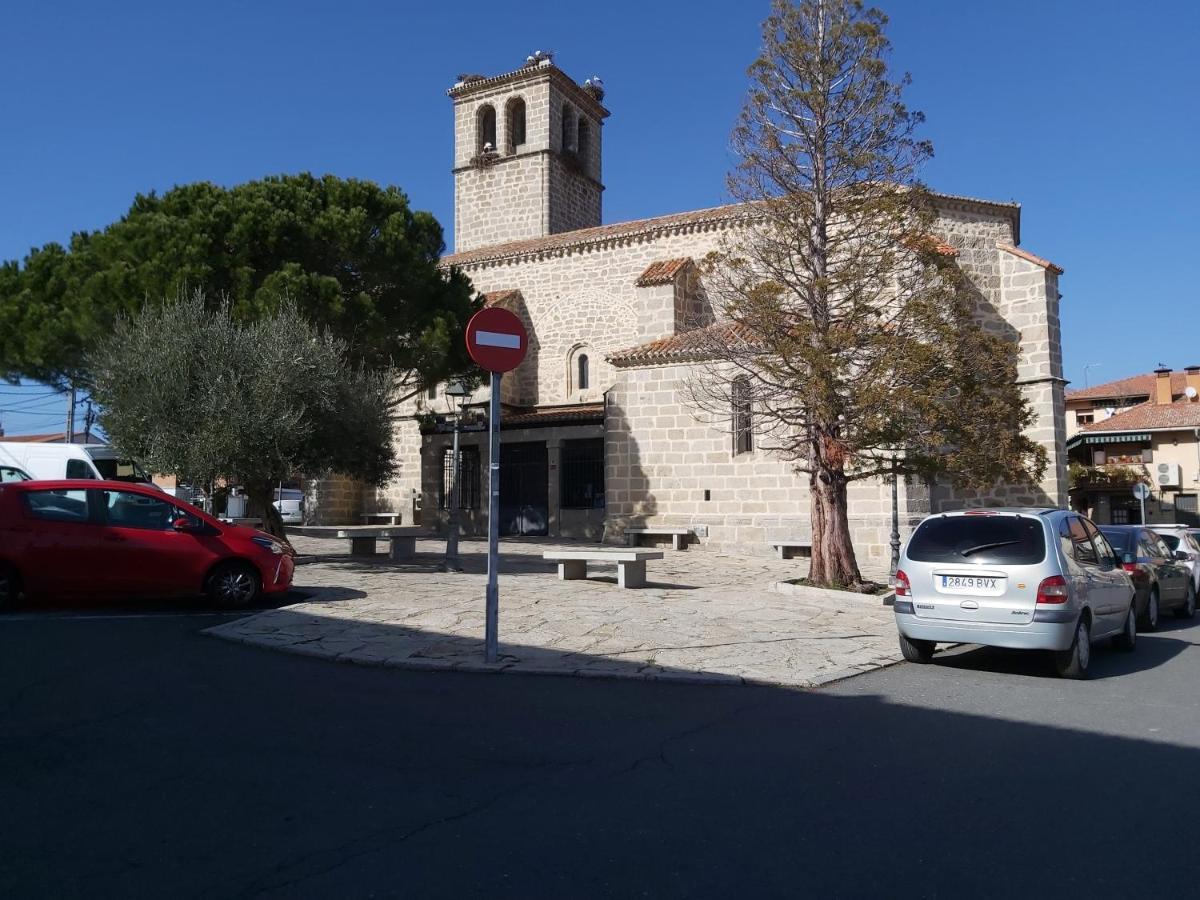 Acero Y Piedra Con Jardín Privado