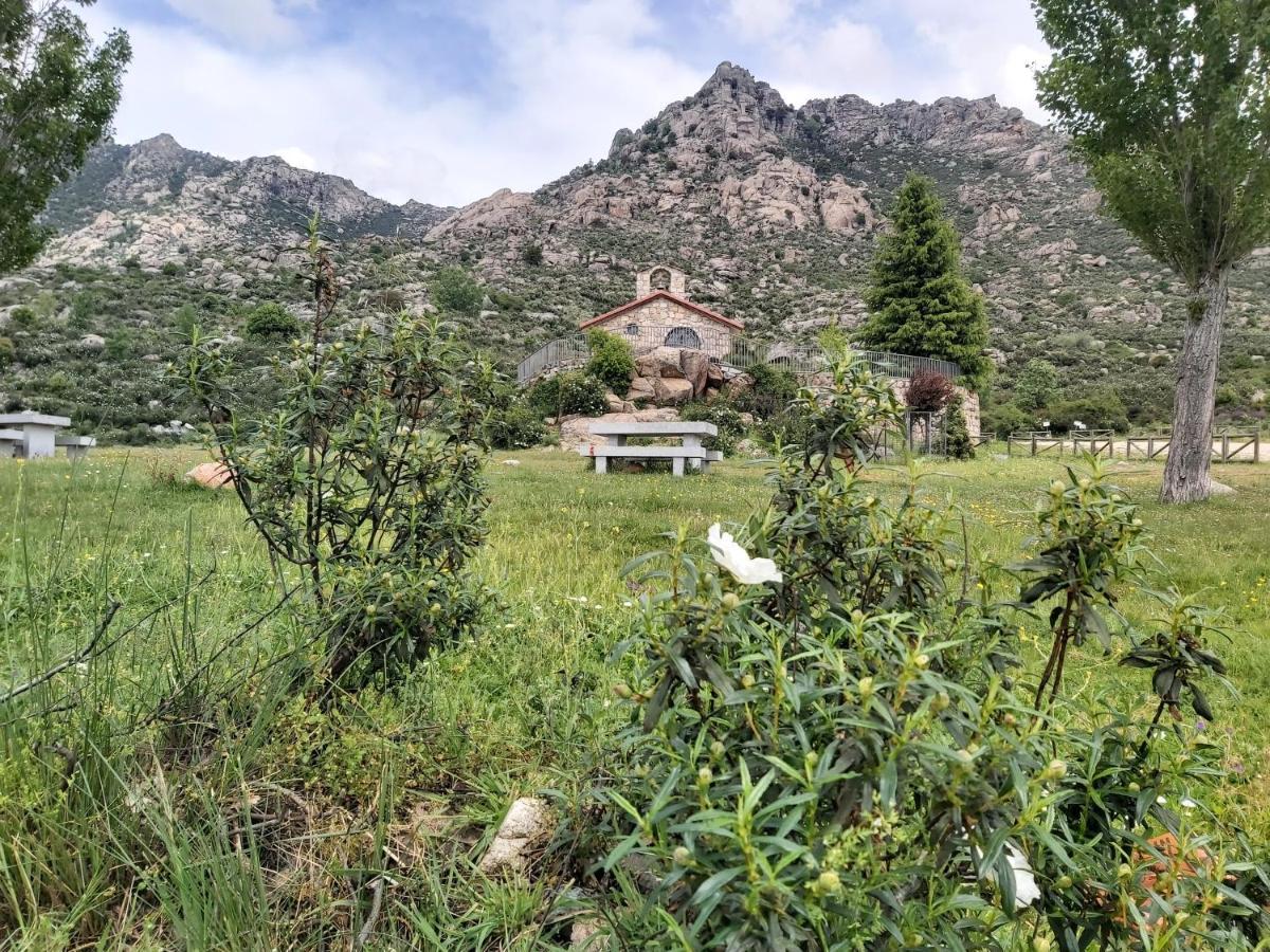 Apartamento Acero Y Piedra Con Jardín Privado *